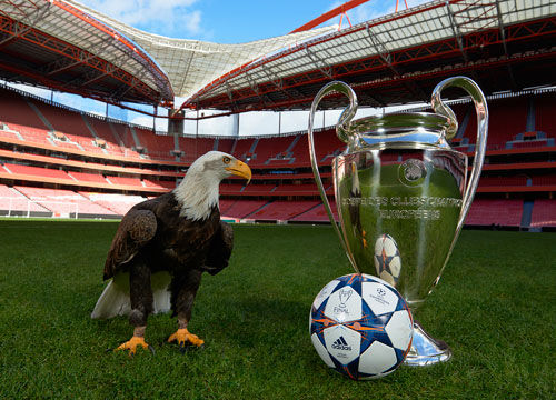 领先8分 领先8分